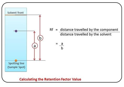 how to read rf values|rf value in chromatography.